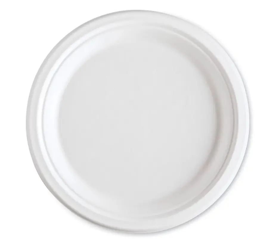 9" SUGARCANE PAPER PLATE (RP09W) (WellCare)