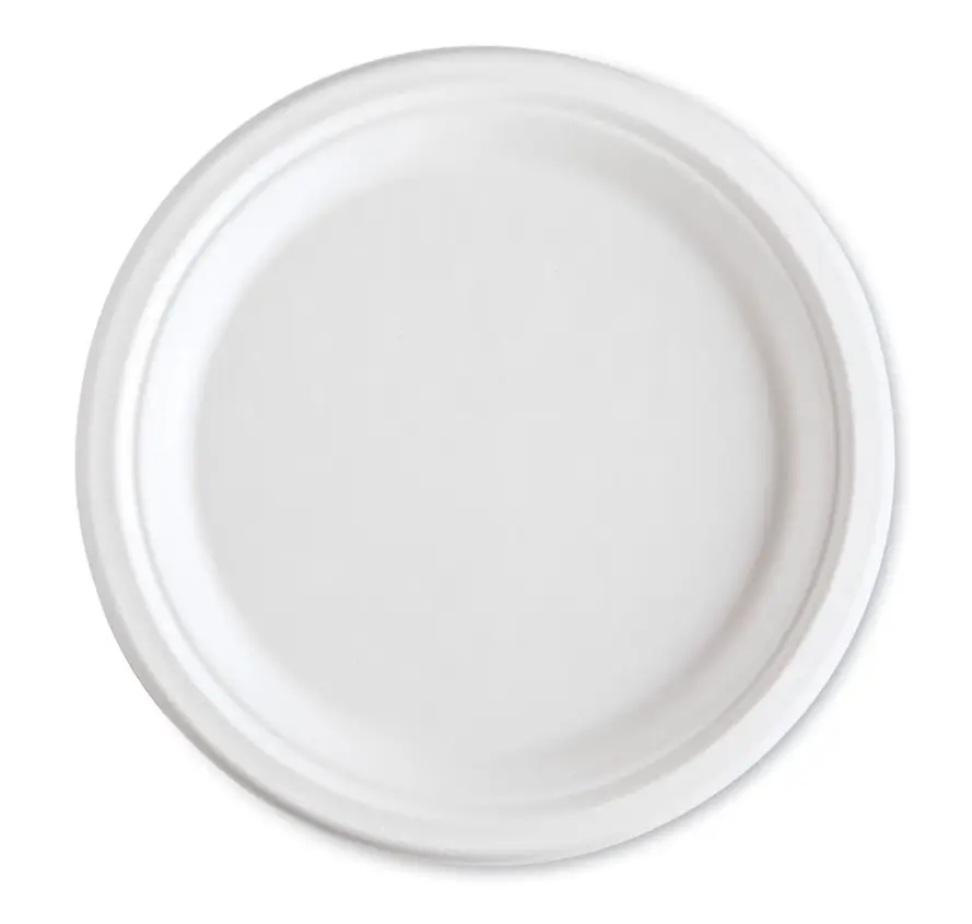 10" SUGARECANE PAPER PLATE (RP10W) (WellCare)